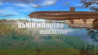 Русская Рыбалка 4 ► Russian Fishing 4 ► Река Ахтуба - Вьюн и Много плотвы!