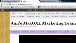 Thesis Tutorial: Remove Page Titles from Specific Pages in WordPress