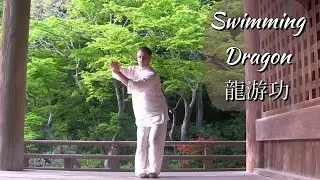 Swimming Dragon Qigong -  龍游功