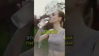 Что должна содержать антипаразитарная программа? 