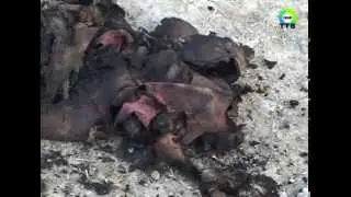 В пгт.Дунай заживо едва не сгорела женщина