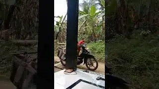 TAMBAH KESEL@SHORTS