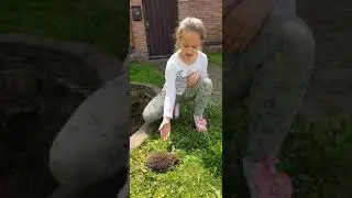 Спасли ёжика