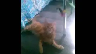 CAM00926