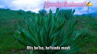 #qashqadaryo #dehqonobod