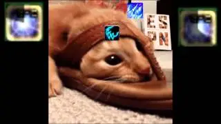 LIFE IS HARD... [OLD]