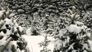 Сказочные красоты, зимнего леса, замечательно )))