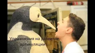 Упражнение на развитие артикуляции