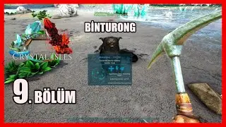 Binturong? | Ark: Survival Evolved | Crystal Isles | S3 B9