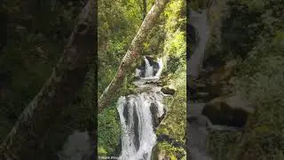 Living life in colours 💚💛🧡...............#shorts #short #waterfall #ytshorts #vlog #uttarakhand