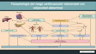 SINDROME METABOLICO