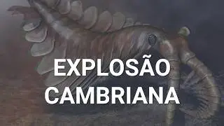 Explosão Cambriana