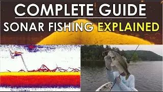 Complete Guide To Video Game Fishing | Sonar, Tackle, and Areas Explained