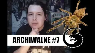 ARCHIWALNE #7: INFO - Pterinochilus murinus