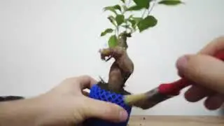 3D Printed Tree Mini Pot