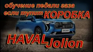 HAVAL JOLION: ОБУЧЕНИЕ ПЕДАЛИ ГАЗА, ЧТОБЫ КОРОБКА НЕ ТУПИЛА