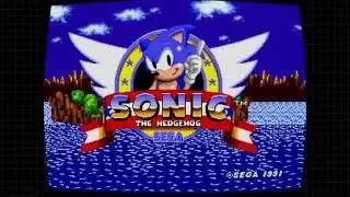 Sonic 25th Anniversary Speedruns!