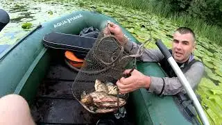 РАКИ И КАРАСИ ЛАПТИ РУКАМИ В КУВШЫНКАХ