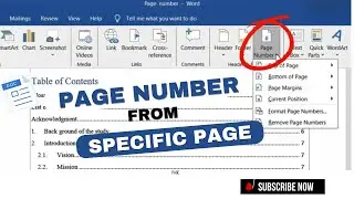 How to Insert Page Number in Word from Specific Page:  Roman, Arabic, and Alphabet in One Document
