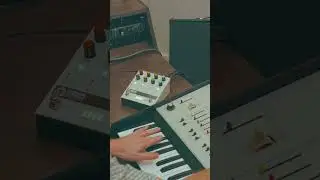 1970s ARP Odyssey and Chroma Console