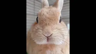 Милота😍