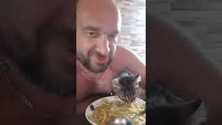 ПЕРЕКУС ПОСЛЕ РАБОТЫ....... С КОШАКОМ 😄😄😄