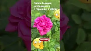 Знаки Зодиака, находящиеся в гармонии с собой / 7052 Гороскоп Астрология Знак #рек