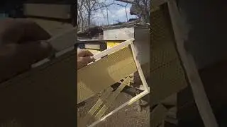 Waxing wax for the bees