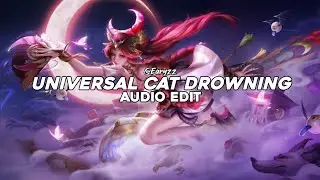 universe cat drowning (endless, endless, endless) - kikou [edit audio]