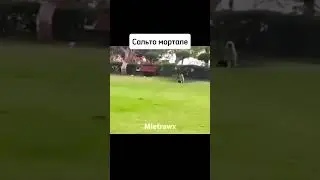 #школа #фонк #funk #qmiir #phonk