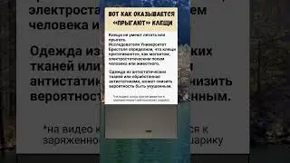 Как защититься от клещей