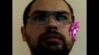 Приятные картинки перед сном!