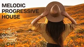 Progressive House · Relaxing Focus Music 🧠✍️ · 24/7 Live