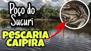 PESCARIA CAIPIRA / PEGAMOS MUITO!