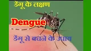 Dengue Precautions | डेंगू से करें बचाव , समाज होगा तब खुशहाल