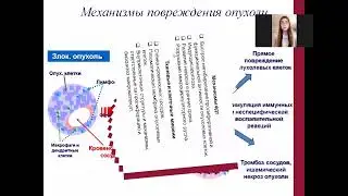 «Фотодинамическая терапия в онкологии»
