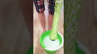 Обзор швабры с отжимом