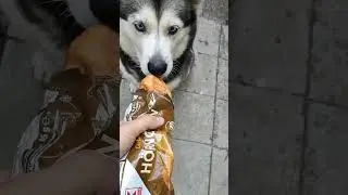 Закуска