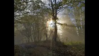 Практики выживания. Динамические цели