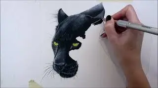 Drawing a Black Leopard in Colored Pencil - Time-Lapse | Jasmina Susak