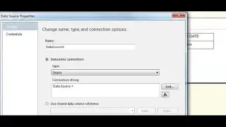 Connect a DataSource in SSRS 2008  (Reporting Sevices)