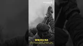 Robimy wszystko aby przywrócić zasialanie