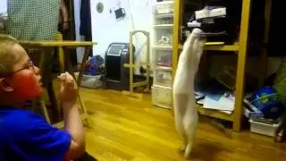 Colin and Jibanyan