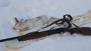 Первый заяц взят! С Полем!
