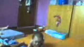 zvideo1