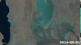 Animating the Aral Sea