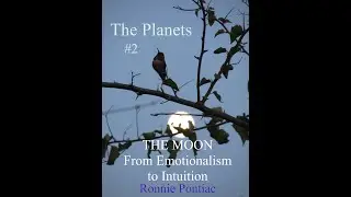The Planets #2 - The Moon from Emotionalism to Intuition - Ronnie Pontiac - PRS  1980s