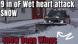 9 Inches Of wet heart attack snow First Snow With The New Snow Dogg Wings