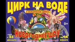 «Цирк на воде»