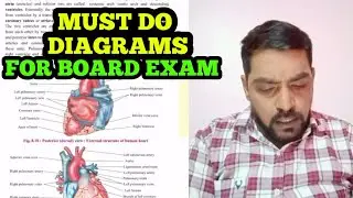 #boards Most Important Diagrams For Board Exam 2024 || Biology